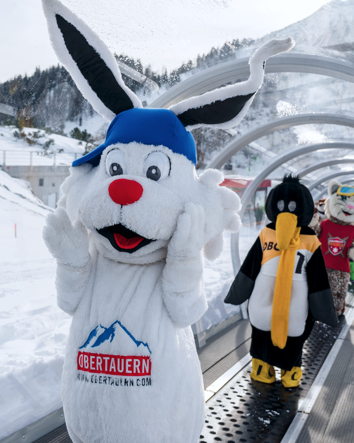 Bobby © Tourismusverband Obertauern
