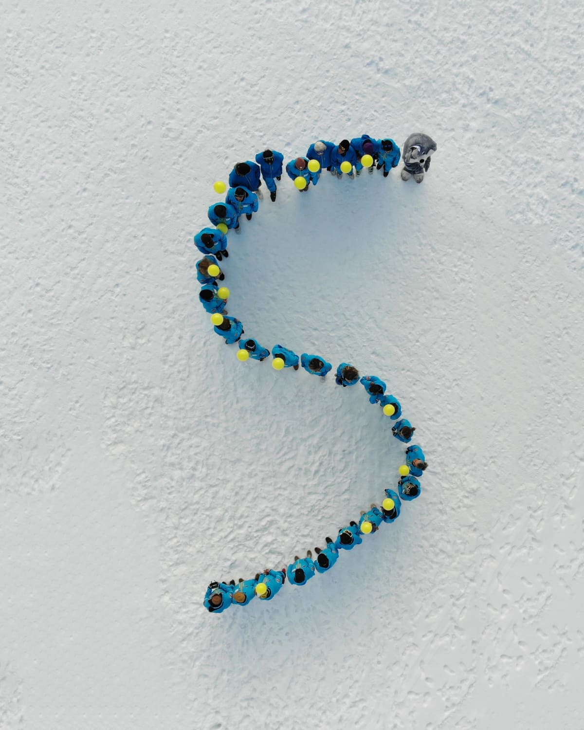 Skilehrer/Innen bilden den Buchstaben S